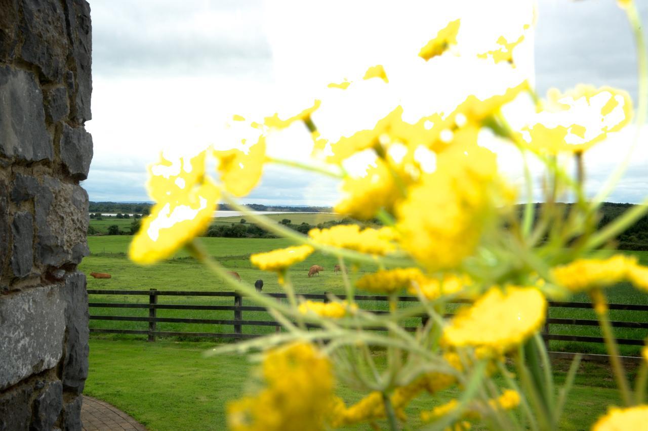 Bunratty Meadows Bed & Breakfast Luaran gambar