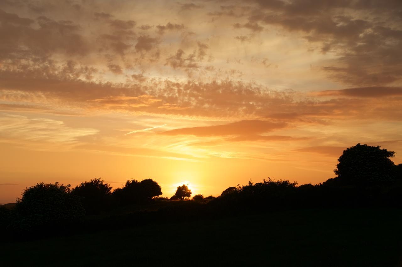 Bunratty Meadows Bed & Breakfast Luaran gambar